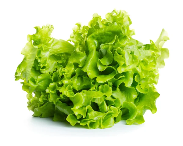 Fresh green lettuce — Stock Photo, Image