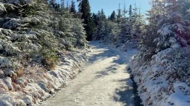 Kış karlı dağ yolu