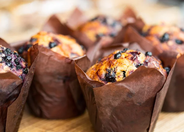 Muffins de chocolate com mirtilos — Fotografia de Stock