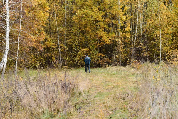 Un hombre está buscando setas en el bosque de otoño. —  Fotos de Stock