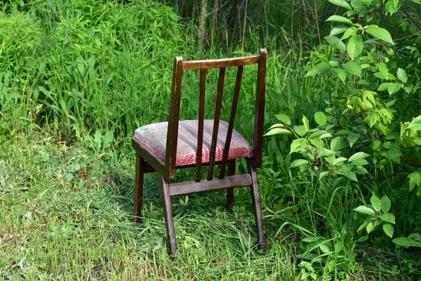 Uma Cadeira Madeira Esquecida Nos Arbustos Jardim Foto Alta Qualidade — Fotografia de Stock