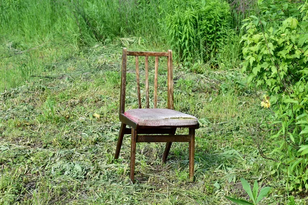 Bahçede Çalıların Arasında Sırtı Kalkık Unutulmuş Bir Tahta Sandalye Duruyor — Stok fotoğraf