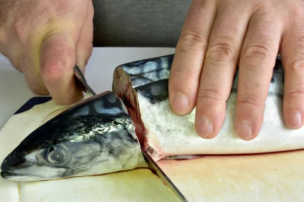 Close-up shot of mackerel fish and man\'s hands cut fish.