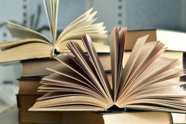 Üst iki kitap üst üste dizilmiş, kitapların yakın çekimi açık..