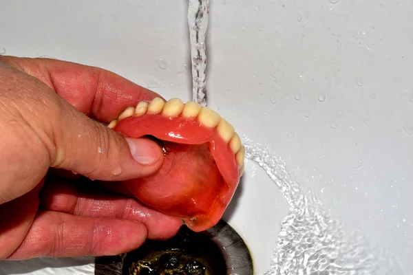 Close-up of the upper jaw being washed under the tap.