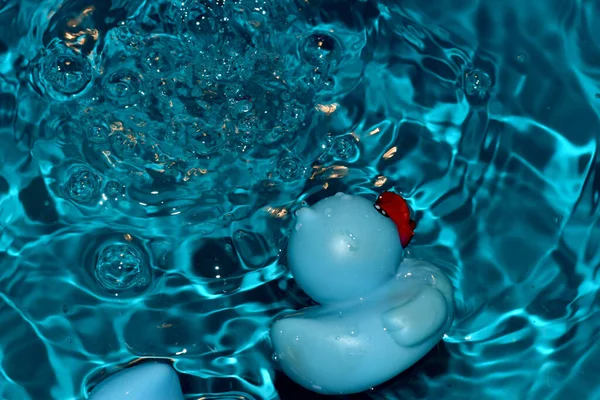 Un juguete para niños flota en la superficie del agua emocionante. — Foto de Stock