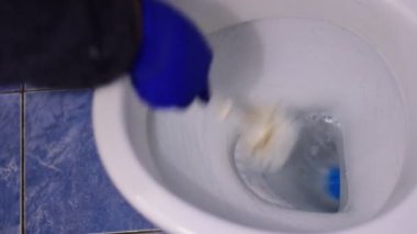 Ev sahibesi klozeti fırçayla temizliyor..