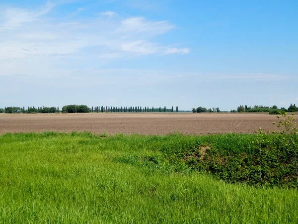 Gepflügtes landwirtschaftliches Feld und grünes Gras. — Stockfoto
