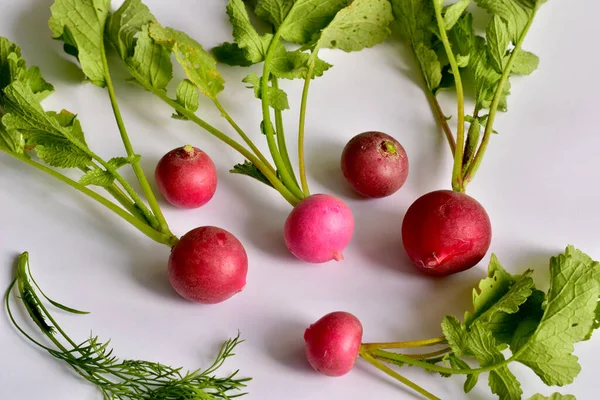 Los Frutos Rábano Rojo Con Tapas Verdes Ramas Perejil Con —  Fotos de Stock