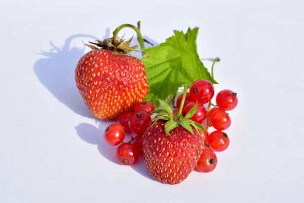 Erdbeeren und rote Johannisbeeren auf weißen. — Stockfoto