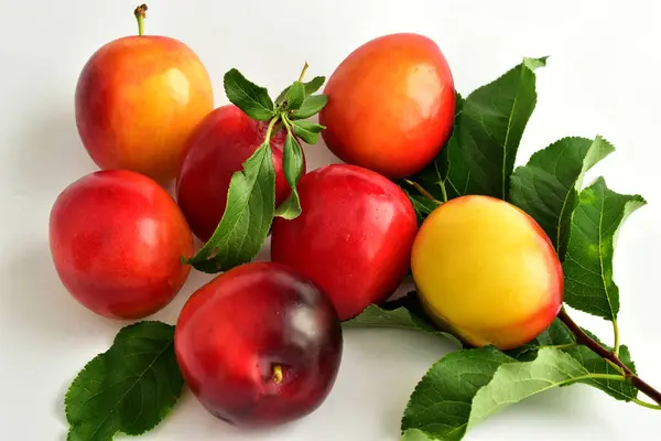 A group of ripe cherry plums with leaves lie on the table. — Stock Photo, Image