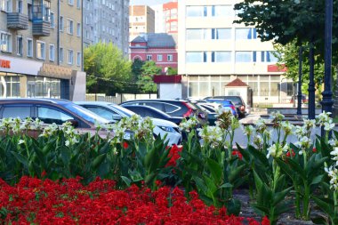 Bir çiçek tarhı ve otoparkta bir sıra araba..