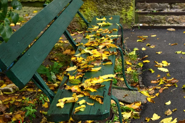 As folhas amarelas caídas das árvores jazem no velho banco. — Fotografia de Stock