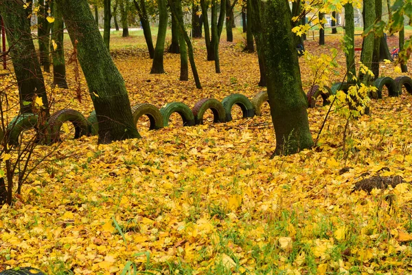 Automne City Park Des Feuilles Jaunes Gisent Sur Sol Entre — Photo