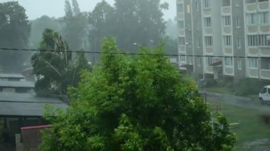 Kasırga. Şiddetli yağmur yağıyor. Ağaçlar rüzgarın baskısı altında bükülür..