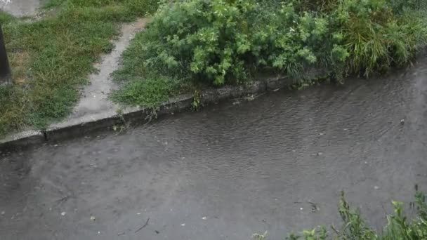 Slecht Weer Het Werd Donker Het Regent Hevig Waterstroom Stroomde — Stockvideo