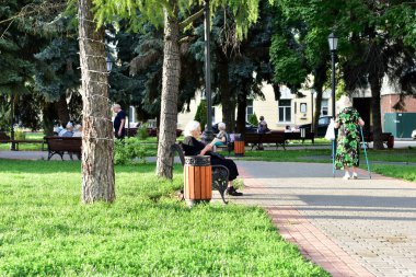 - Rusya. Tambov şehri. Bir park. 08/15/2021. Yaşlı bir kadın parkta bir bankta oturur ve kitap okur..