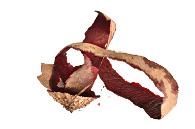 Kırmızı pancar kabuğu PNG arka planında izole edildi.