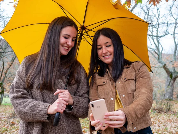 Deux Belles Jeunes Femmes Avec Parapluie Jaune Commentant Les Photos — Photo