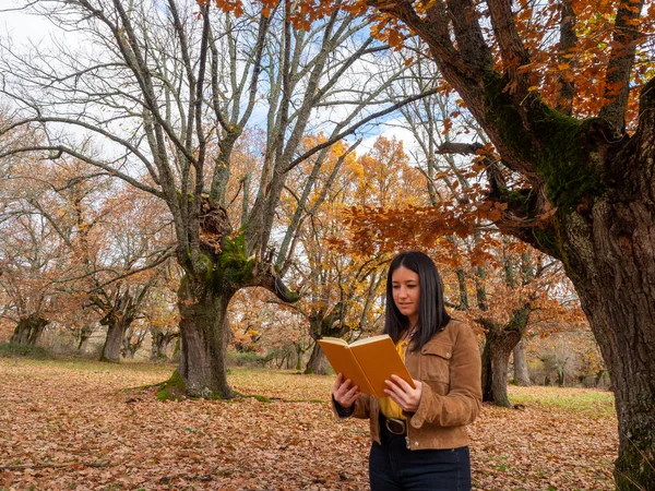 Ładna Młoda Kobieta Czytająca Książkę Dębowym Lesie — Zdjęcie stockowe