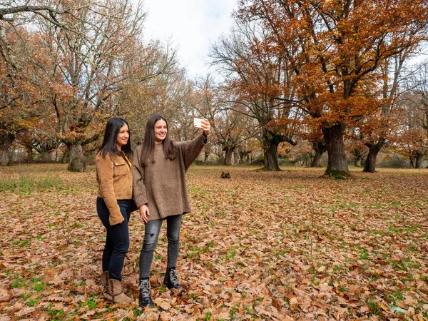 Deux Jeunes Femmes Assez Positives Faisant Signe Cœur Sur Fond — Photo