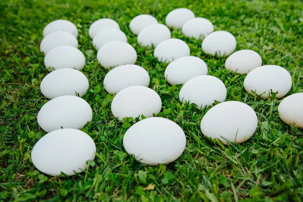 White eggs on green grass pattern — Stock Photo, Image