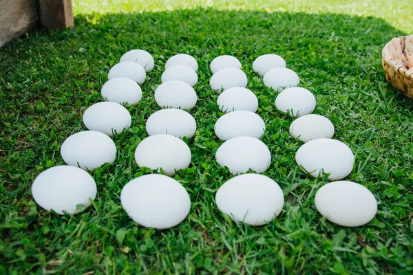 White eggs on green grass pattern — Stock Photo, Image