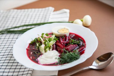 Pancar çorbası, borş yaz sebzeleri.