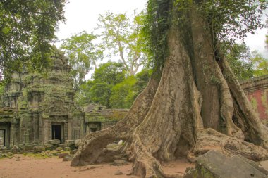 Kamboçyalı binalar 
