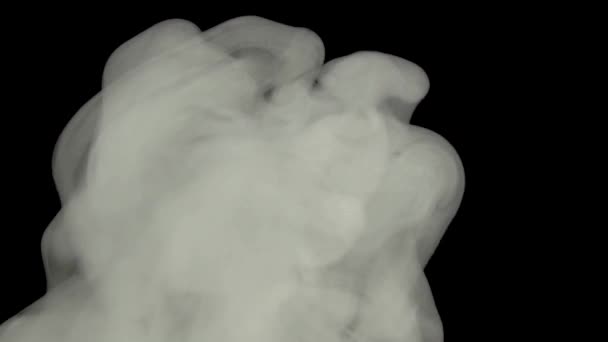 Abstrato Fumaça Vapor Branco Fundo Preto Uma Nuvem Fumaça Química — Vídeo de Stock