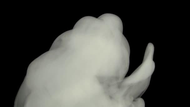 Abstraktní Bílý Pára Kouř Černém Pozadí Mrak Chemického Kouřu Lesklý — Stock video