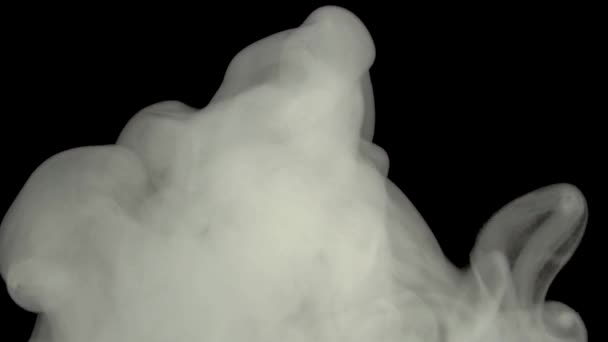 Abstrato Fumaça Vapor Branco Fundo Preto Uma Nuvem Fumaça Química — Vídeo de Stock