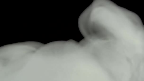 Humo Vapor Blanco Abstracto Sobre Fondo Negro Una Nube Humo — Vídeos de Stock