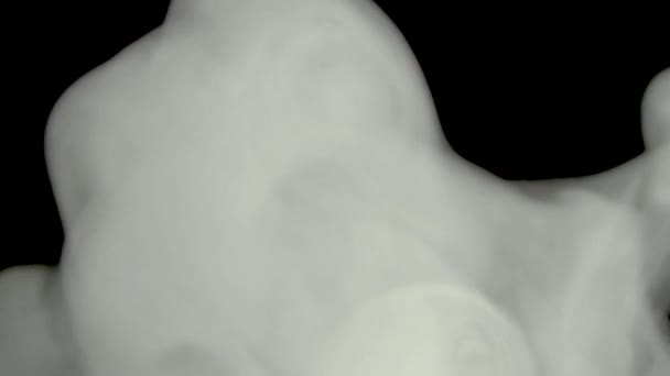 Abstrato Fumaça Vapor Branco Fundo Preto Uma Nuvem Fumaça Química — Vídeo de Stock