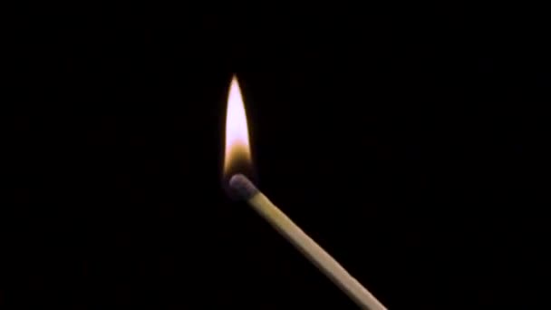 一根点燃的火柴在黑色的背景上冒着烟燃烧着 慢动作视频与火的概念 那只手点燃一根火柴 — 图库视频影像