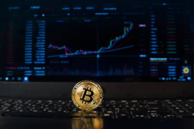 Fiyatı döviz kurunda ya da Forex 'te gösteren bir grafiğin arka planında bir bitcoin. Bitcoin döviz kuru, elektronik para veya para birimi.
