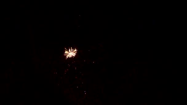 Отмечаю Событие Праздничный Салют Фейерверков Ночном Небе Праздничный Фейерверк — стоковое видео