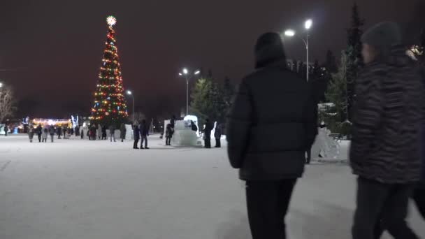 Петропавловск Казахстан Декабря 20Г Новогодняя Елка Рождественская Елка Прогулками Парку — стоковое видео