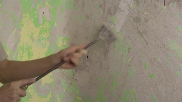 Handy Repairs Wall Apartment Cleaning Old Paint Home Renovation Worker — Stock Video