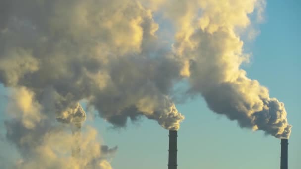 大都市における環境 大気汚染の環境問題気候変動 生態系 地球温暖化空は有毒物質で煙を出しています 工場からの出発 — ストック動画