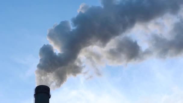 Fumo Camini Fabbrica Con Emissioni Co2 Problema Ambientale Dell Inquinamento — Video Stock