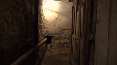 Eski bir yeraltı bodrumunda ya da eski bir evdeki dolapta. Eski malikanenin birçok kapısı olan eski bir yeraltı geçidi. Kasvetli bir koridor ya da taş duvarlı bir tünel