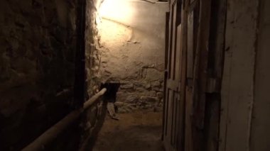 Eski bir yeraltı bodrumunda ya da eski bir evdeki dolapta. Eski malikanenin birçok kapısı olan eski bir yeraltı geçidi. Kasvetli bir koridor ya da taş duvarlı bir tünel