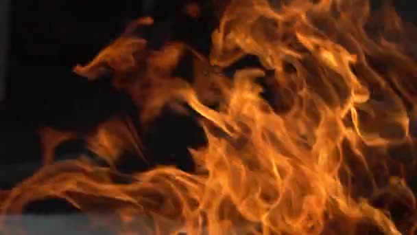 Ein Loderndes Feuer Der Dunkelheit Einem Kamin Oder Ofen Entzündung — Stockvideo