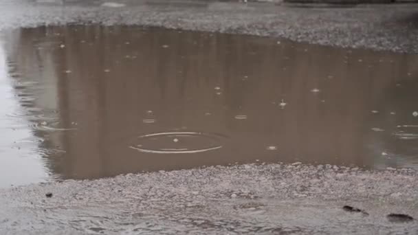 Sebuah Hujan Hari Mendung Hujan Jatuh Atas Genangan Air Ramalan — Stok Video