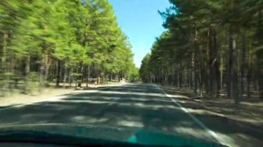 Dar bir dağ yolundaki dağlık bir alana arabayla yolculuk etmek için trenler. Uzun ağaçlı bir ormanda araba sürmek. Dağlarda yol. Yılan yolu. Yolcunun arabasından görüş.