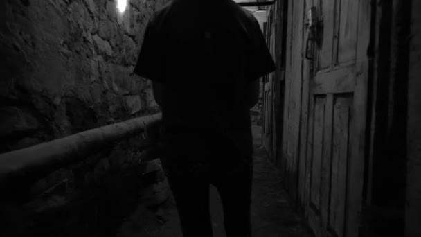 穿过旧的黑暗的地下地下室或老房子里的壁橱 旧的地下通道 旧的庄园里有许多门 灰暗的走廊或有石墙的隧道 — 图库视频影像