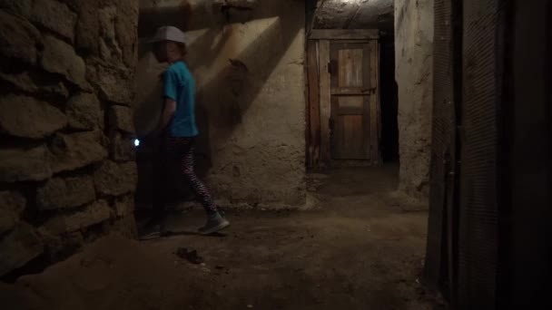Eski Bir Yeraltı Bodrumunda Eski Bir Evdeki Dolapta Eski Malikanenin — Stok video