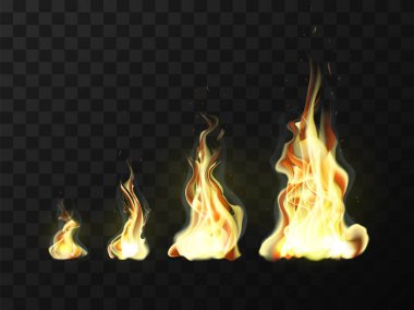 Gerçekçi alevler dizisi. Vektör illüstrasyonu.