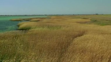 4K 'da hava görüntüsü. Suyun üzerinde uç ve beyaz kuşlar